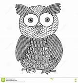 Zen Zentangle Zendoodle Doodle Vector Owl Tangle Bird Preview sketch template