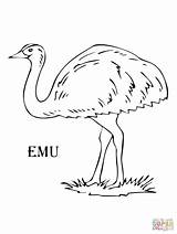 Emu Niños Resultado Ana Hernando Supercoloring Aborigine sketch template