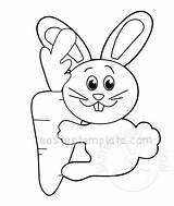 Carrot Coloring Rabbit Bunny Holding Easter Template Holds Eastertemplate sketch template