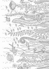 Johanna Ocean Lost Basford Postcards Color Coloring Book Pages Choose Board Send Colouring sketch template