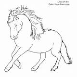 Coloring Newfoundland Pony Pages Drawing Dog Color Drawings Horse Line Own Patterns Getcolorings Print Index Getdrawings sketch template