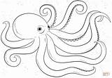 Octopus Coloring Pages Drawing Draw Cartoon Outline Printable Easy Step Template Print Drawings Fish Sea Kids Animals Ocean Octupus Line sketch template