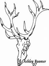 Elk Skull Head Drawing Clipart Deer Drawings Skulls Coloring Pages Draw Template Getdrawings Deviantart Tattoos Sketch Library Cliparts sketch template