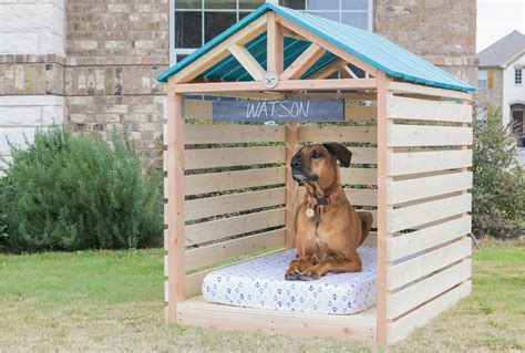 pet friendly homes elevated dog bowls diy dog bed