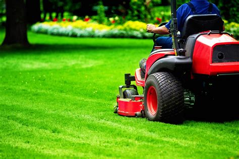 grass cutting services   property maintenance