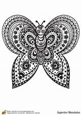 Papillon Hugolescargot Complexe Butterfly Superbes Adulte Colouring Zentangle Coloriages sketch template