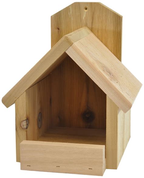 bird   birdhouse  cardinals