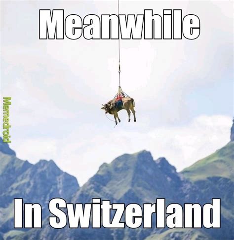 the best switzerland memes memedroid