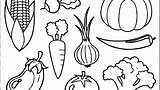 Coloring Vegetables Fruits Pages Vegetable Veggie Fruit Printable Print Drawings Color Getdrawings Getcolorings Colorings Paintingvalley sketch template
