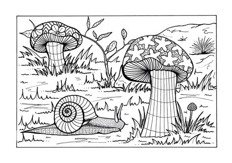forest floor adult coloring page favecraftscom