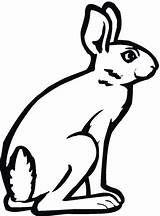 Hare Liebres Arctic Ausmalbilder Ausmalbild Clipartmag Ausdrucken sketch template