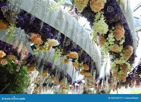 floral fantasy hanging flowers  singapore gardens   bay