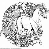 Horse Getcoloringpages Pferde Colorare Cavalli Ausmalen Cheval Colouring Malvorlage Ausmalbilder Paarden Paard Coloringbook Erwachsene Getdrawings Coloringpages sketch template