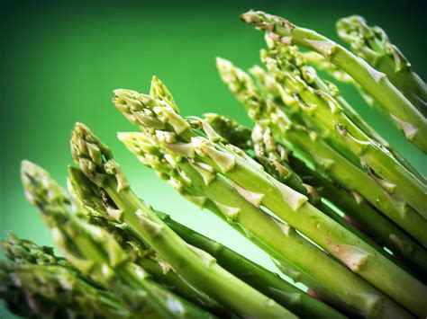 growing asparagus  seeds garden season planting guide