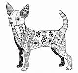 Chihuahua Mandalas Zentangle Stylized sketch template