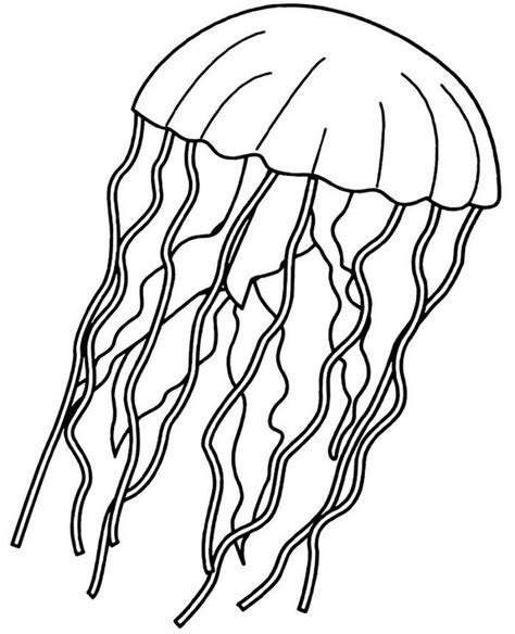 jellyfish coloring pages  coloring sheets fish coloring page