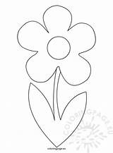 Stem Coloring Flower Template Drawings 79kb sketch template