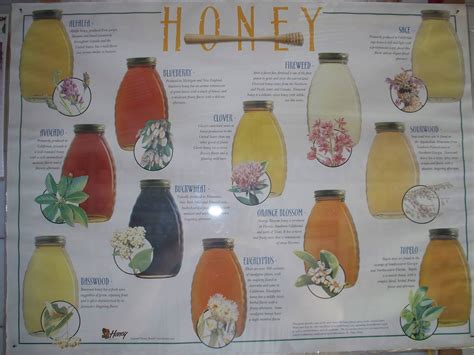 edmonds farm  types  honey