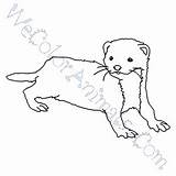 Weasel sketch template