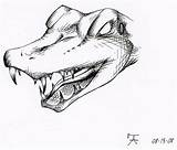 Gator Getdrawings Drawing sketch template