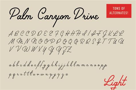 palm canyon drive deluxe edition  retrosupply   creative market brush lettering