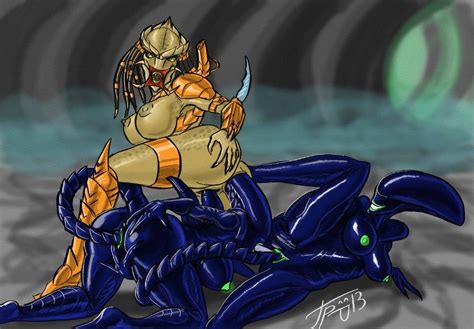 1085115 alien aliens vs predator grriva predator xenomorph yautja hot and sexy alien females