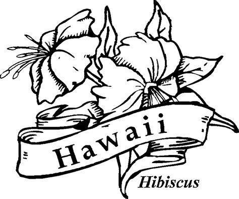hawaiian flower coloring pages flower coloring page