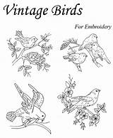 Embroidery Patterns Vintage Birds Bird Hand Transfers Designs Quilt Pattern Stitch Ribbon Crewel Choose Board Restoration sketch template