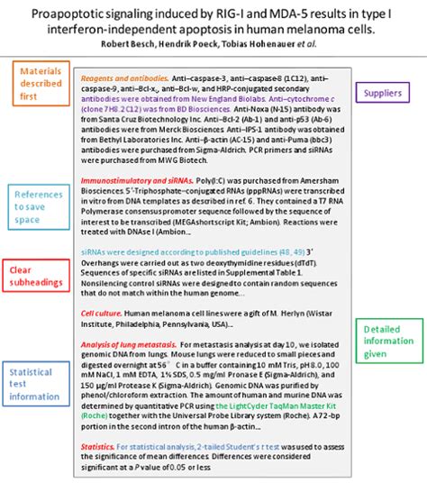 imrad examples imrad format clark  professor rieder eng