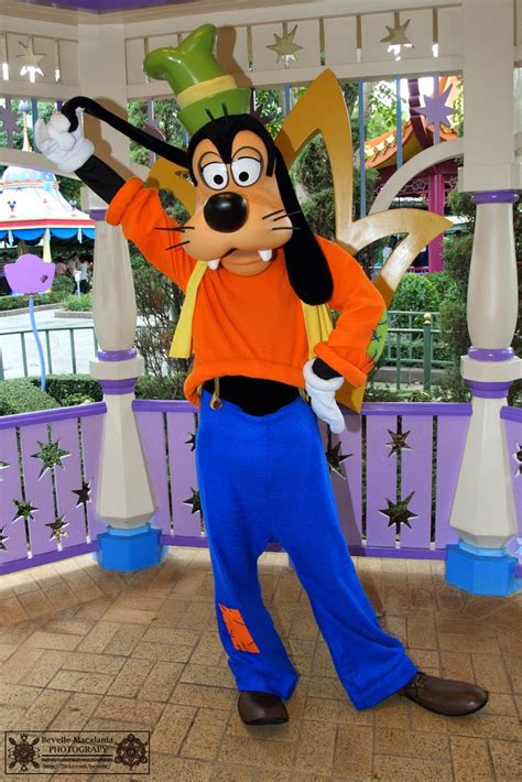 kuya marcs bloggy site goofy    time favorite disney