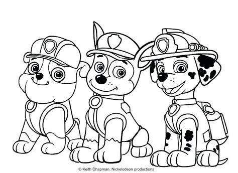 paw patrol birthday coloring pages  getcoloringscom  printable