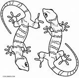 Lizard Coloring Pages Gecko Printable Kids Cute Realistic Geckos Frilled Drawing Template Color Sheets Desert Cool2bkids Print Getcolorings Preschool Bestcoloringpagesforkids sketch template