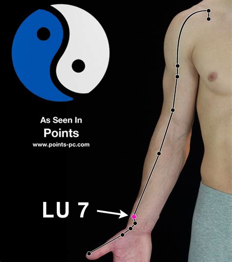 acupuncture point lung  acupuncture technology news