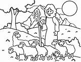 Coloring Shepherd Sheep Pages Jesus Good Shepherds Kids Lost Am Australian Baby Clipart Visit Printable Drawing Color Getcolorings Print Sheeps sketch template