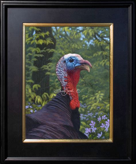looking for love wild turkey original larry zach wildlife art