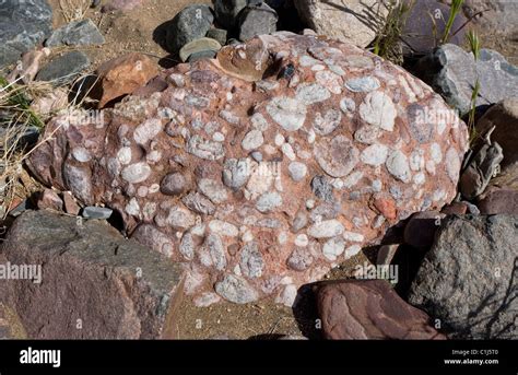 conglomerate rock showing   smaller rocks  compose  stock