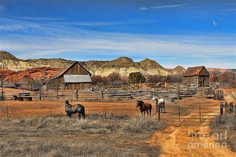 horse ranch  utah photograph  jack schultz