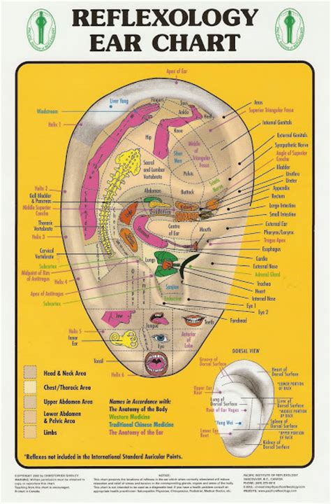 Healing Ways Reflexology Ear Chart