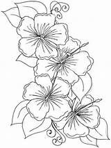 Hibiscus Mycoloring Stencils Visit Coloringhome sketch template
