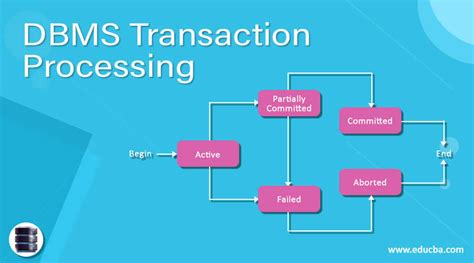 dbms transaction processing   process  transaction  dbms