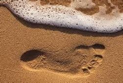 footprints  feet summary  class  english literature