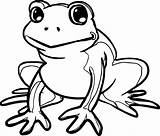 Frog Coloring Pages Wecoloringpage sketch template