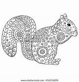 Coloring Squirrel Zentangle Book Vector Sketch Stylized Shutterstock Stock Adult Drawn Hand Animal Logo Preview Doodle Antistress sketch template