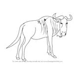 learn   draw  wildebeest wild animals step  step drawing tutorials
