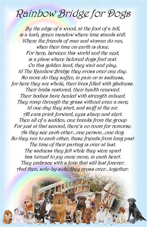 rainbow bridge printable poem  dogs