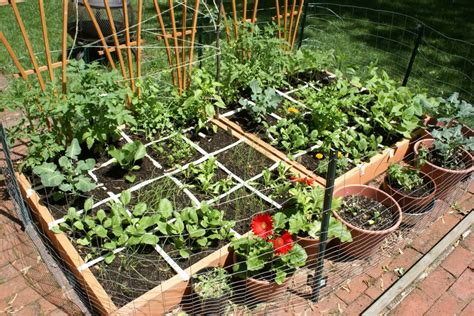 vegetable garden designs square foot garden planner