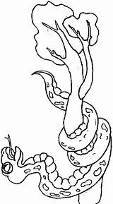 Vipera Serpente Serpent Ramo Serpe Serpenti Biscia 1745 Coloriages Biscione sketch template