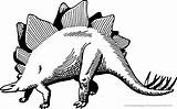 Stegosaurus Dinosaurier Drachen Ausmalbild Malvorlage Stegozaur Dinosaurus Ausmalen Dinos Mewarnai Dinozaury Druku Kolorowanki Picpng Kolorowanka Dinosaurios Brontosaurus Pintar Esqueleto I2clipart sketch template