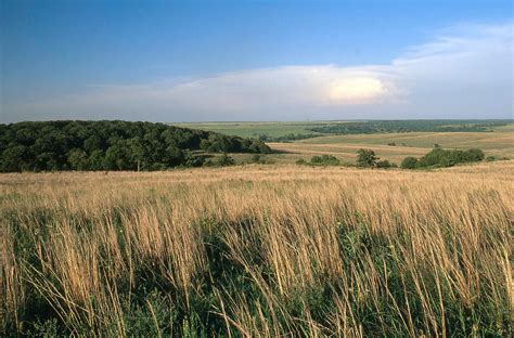 tallgrass prairie oklahoma photograph  james steinberg fine art