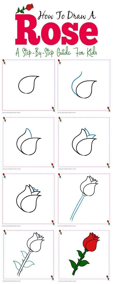 draw  rose simple step  step instructions instructions